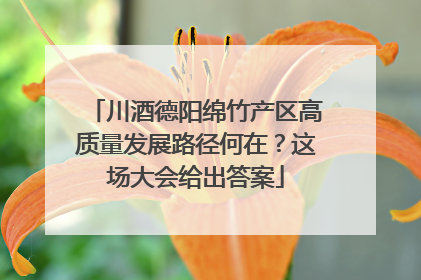 川酒德阳绵竹产区高质量发展路径何在？这场大会给出答案