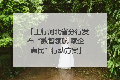 工行河北省分行发布“数智领航 赋企惠民”行动方案