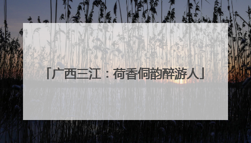 广西三江：荷香侗韵醉游人