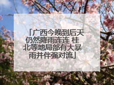 广西今晚到后天仍然降雨连连 桂北等地局部有大暴雨并伴强对流