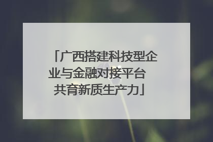 广西搭建科技型企业与金融对接平台 共育新质生产力