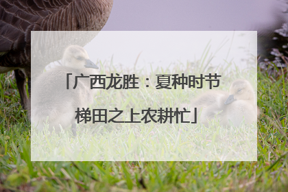 广西龙胜：夏种时节 梯田之上农耕忙