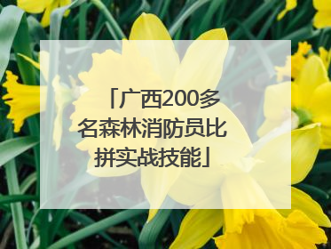 广西200多名森林消防员比拼实战技能