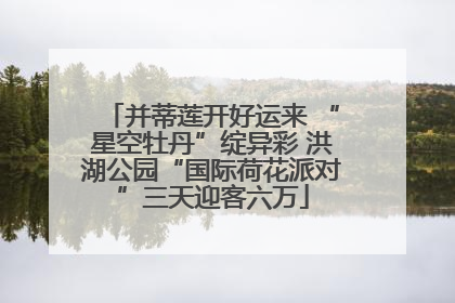 并蒂莲开好运来 “星空牡丹”绽异彩 洪湖公园“国际荷花派对”三天迎客六万
