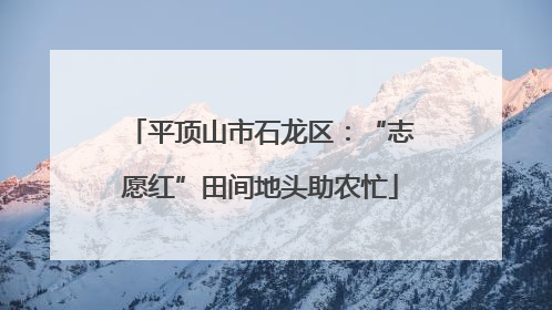 平顶山市石龙区：“志愿红”田间地头助农忙