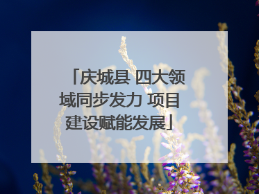 庆城县 四大领域同步发力 项目建设赋能发展