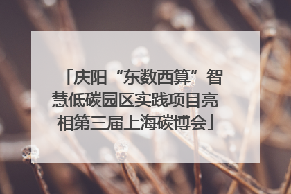 庆阳“东数西算”智慧低碳园区实践项目亮相第三届上海碳博会