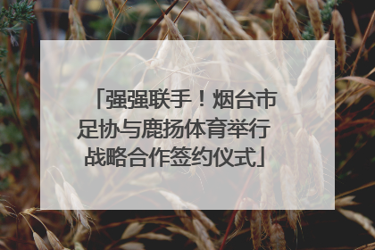 强强联手！烟台市足协与鹿扬体育举行战略合作签约仪式