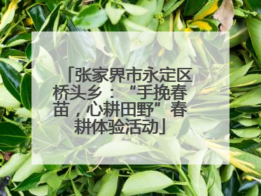 张家界市永定区桥头乡：“手挽春苗，心耕田野”春耕体验活动