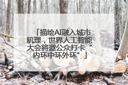 描绘AI融入城市肌理，世界人工智能大会将邀公众打卡“内环中环外环”