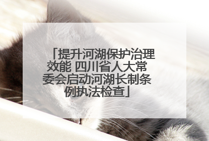 提升河湖保护治理效能 四川省人大常委会启动河湖长制条例执法检查