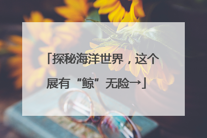 探秘海洋世界，这个展有“鲸”无险→