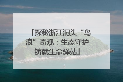 探秘浙江洞头“鸟浪”奇观：生态守护铸就生命驿站