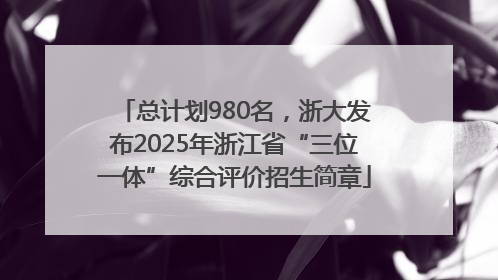 总计划980名，浙大发布2025年浙江省“三位一体”综合评价招生简章
