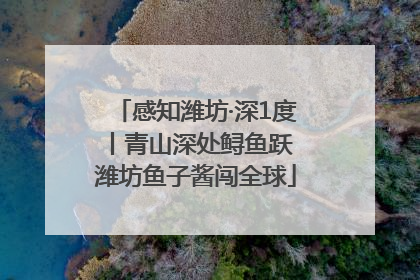 感知潍坊·深1度丨青山深处鲟鱼跃 潍坊鱼子酱闯全球