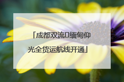 成都双流⇌缅甸仰光全货运航线开通
