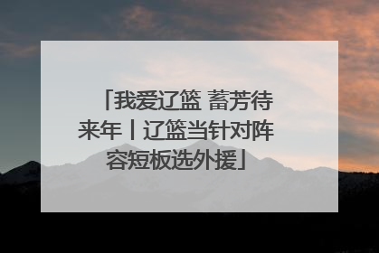 我爱辽篮 蓄芳待来年丨辽篮当针对阵容短板选外援