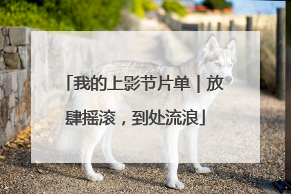 我的上影节片单｜放肆摇滚，到处流浪
