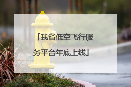 我省低空飞行服务平台年底上线