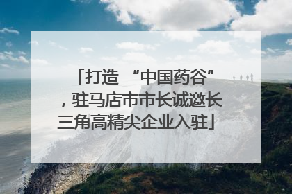 打造 “中国药谷”，驻马店市市长诚邀长三角高精尖企业入驻