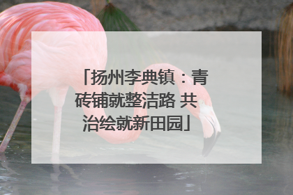 扬州李典镇：青砖铺就整洁路 共治绘就新田园
