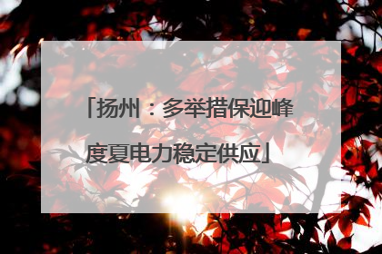 扬州：多举措保迎峰度夏电力稳定供应