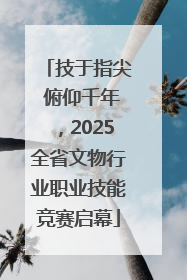 技于指尖 俯仰千年，2025全省文物行业职业技能竞赛启幕