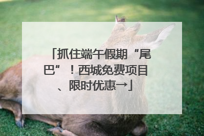 抓住端午假期“尾巴”！西城免费项目、限时优惠→