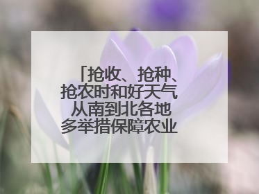 抢收、抢种、抢农时和好天气 从南到北各地多举措保障农业生产顺利进行
