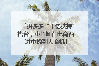 拼多多“千亿扶持”搭台，小鱼缸在电商西进中找到大商机