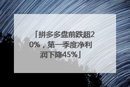 拼多多盘前跌超20%，第一季度净利润下降45%