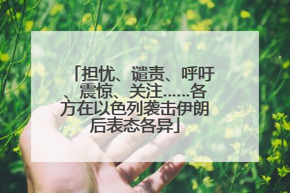 担忧、谴责、呼吁、震惊、关注……各方在以色列袭击伊朗后表态各异