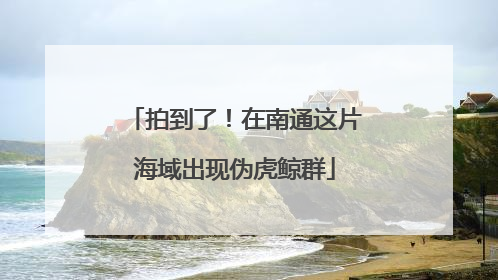 拍到了！在南通这片海域出现伪虎鲸群