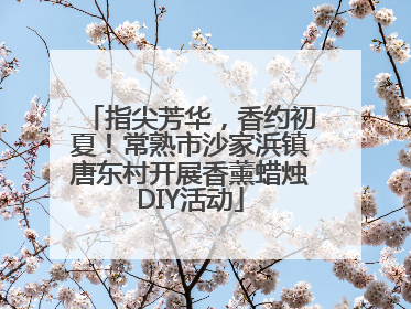 指尖芳华，香约初夏！常熟市沙家浜镇唐东村开展香薰蜡烛DIY活动