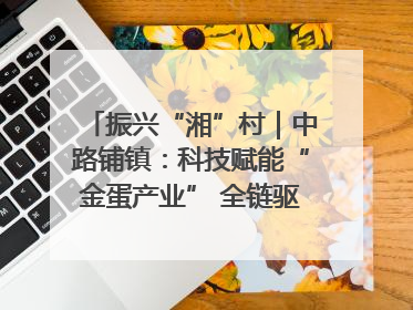 振兴“湘”村｜中路铺镇：科技赋能“金蛋产业” 全链驱动乡村振兴