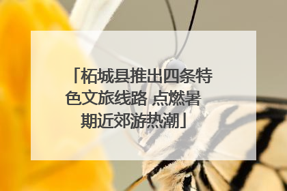 柘城县推出四条特色文旅线路 点燃暑期近郊游热潮