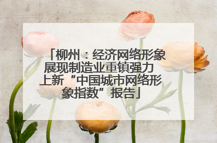 柳州：经济网络形象展现制造业重镇强力 上新“中国城市网络形象指数”报告
