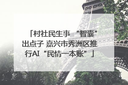 村社民生事 “智囊”出点子 嘉兴市秀洲区推行AI“民情一本账”