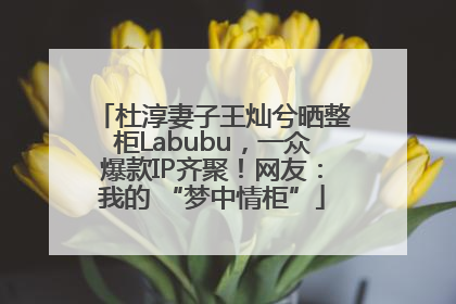 杜淳妻子王灿兮晒整柜Labubu，一众爆款IP齐聚！网友：我的 “梦中情柜”