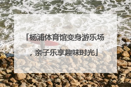 杨浦体育馆变身游乐场，亲子乐享趣味时光