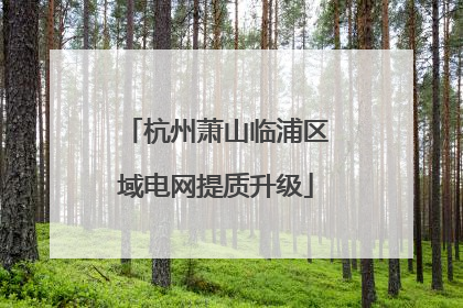 杭州萧山临浦区域电网提质升级