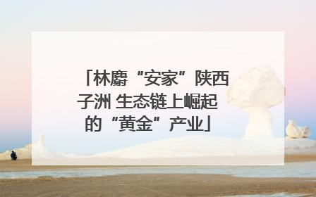 林麝“安家”陕西子洲 生态链上崛起的“黄金”产业