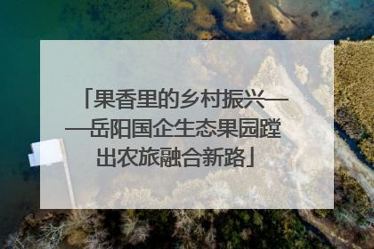 果香里的乡村振兴——岳阳国企生态果园蹚出农旅融合新路