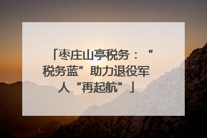 枣庄山亭税务：“税务蓝”助力退役军人“再起航”