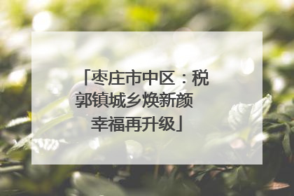 枣庄市中区：税郭镇城乡焕新颜 幸福再升级