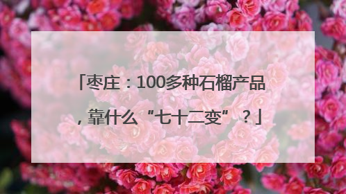 枣庄：100多种石榴产品，靠什么“七十二变”？