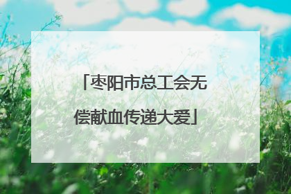 枣阳市总工会无偿献血传递大爱