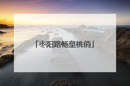 枣阳路畅皇桃俏