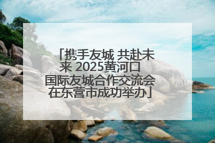 携手友城 共赴未来 2025黄河口国际友城合作交流会在东营市成功举办