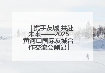 携手友城 共赴未来——2025黄河口国际友城合作交流会侧记